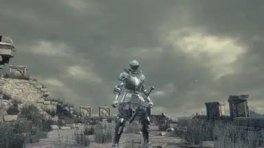 Symmetrical Knight Armor