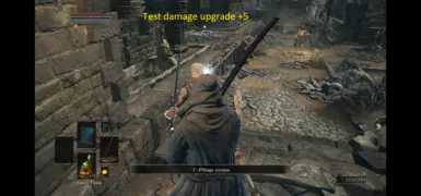 4782 damage upgrade +5 and 99 STR