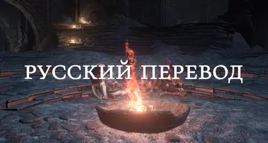 Russian Translation for Seamless Coop