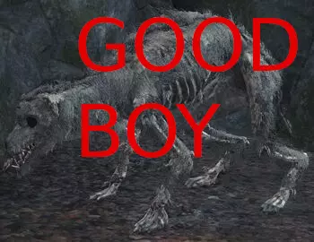 NO MORE TELEPORTING DOGS