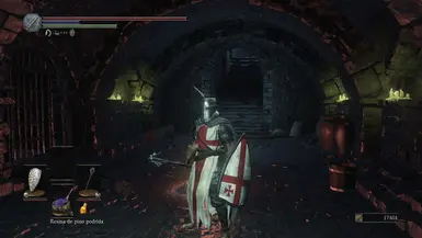 Templar Mirrah armor and grass shield