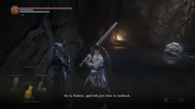 Gay Marriage Mod At Dark Souls 3 Nexus Mods And Community