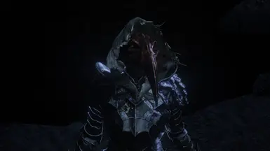 Corvian Knight Hooded Helmet