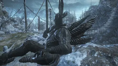Ebony knight Armor