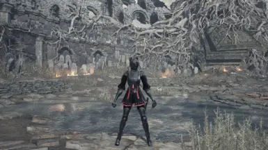 dark souls 3 armor mods