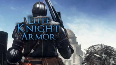 Elite Knight Armor