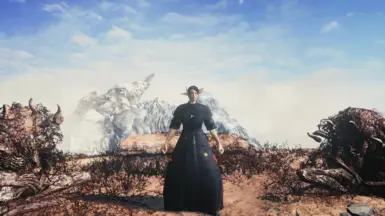 Misc. Outfit Recolors