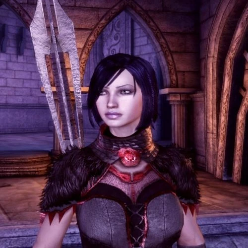 Nine Female Presets at Dragon Age: Origins - mods and community