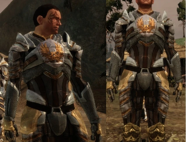 grey warden armor dragon age origins