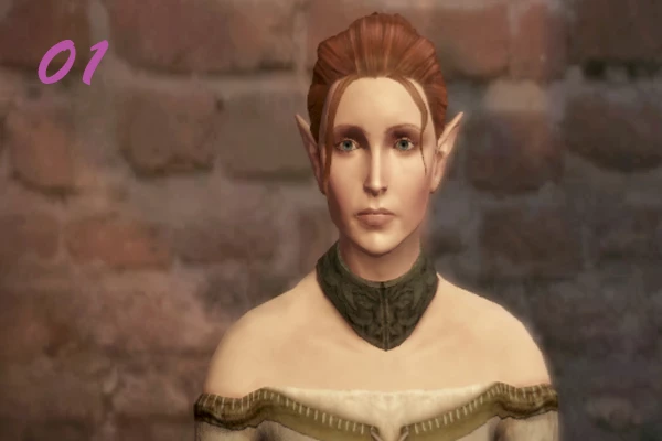 dragon age origins presets dragon age origins presets