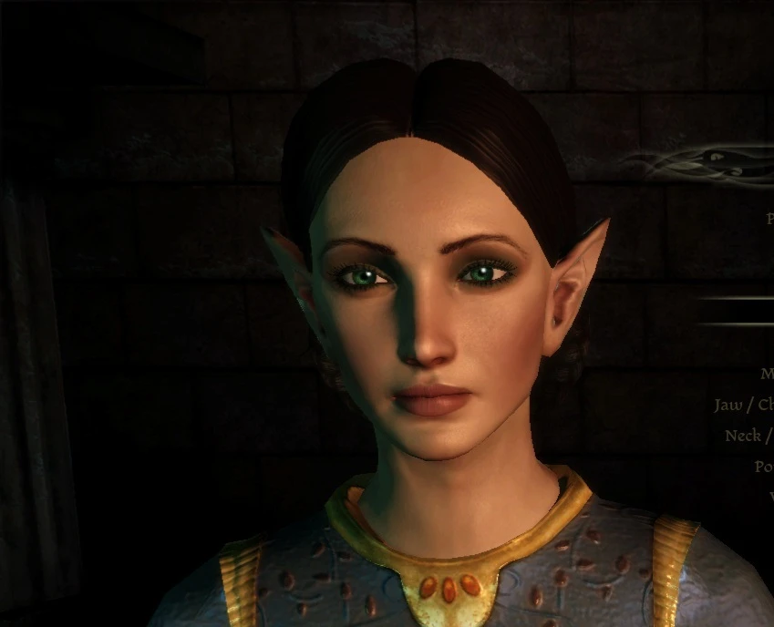 PremadeChars_Stonehard at Dragon Age: Origins - mods and community