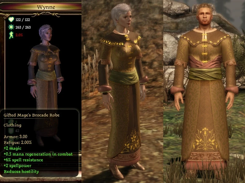 Gifted Mage Brocade Robe. 