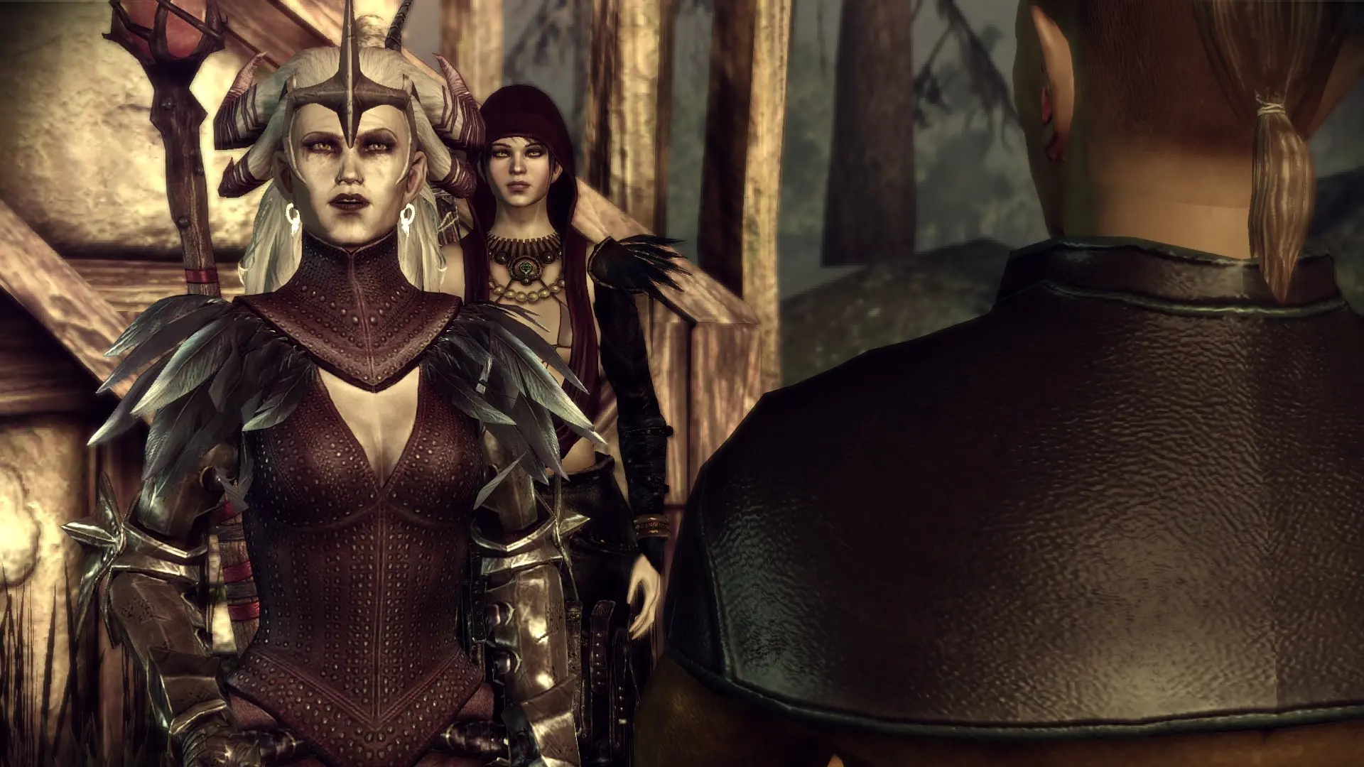 Dragon age гайды. Dragon age 2 броня Флемет. Флемет Dragon age Origins. Флемет инквизиция. Флемет Dragon age 1.