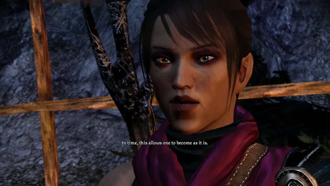 Dragon Age: Origins - Image #993