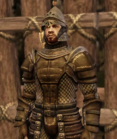 Tower Guard Rogue at Dragon Age: Origins - mods and community