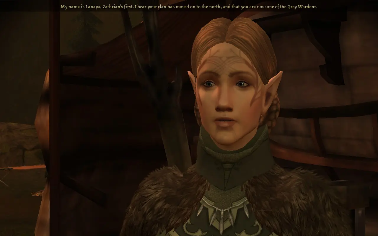 Dalish Keeper Robes at Dragon Age: Origins - mods and community