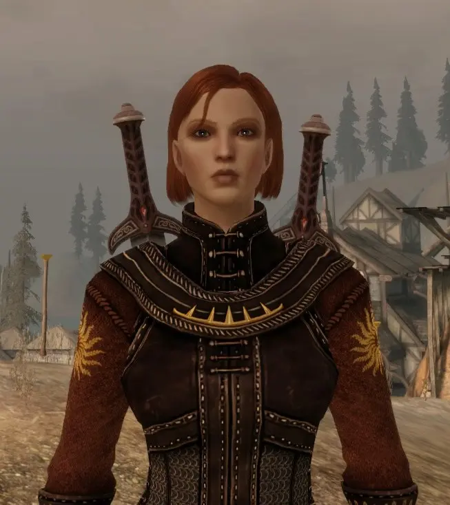 Leliana Better Hair At Dragon Age Origins Mods And Community   6140 1687563237 526399837 