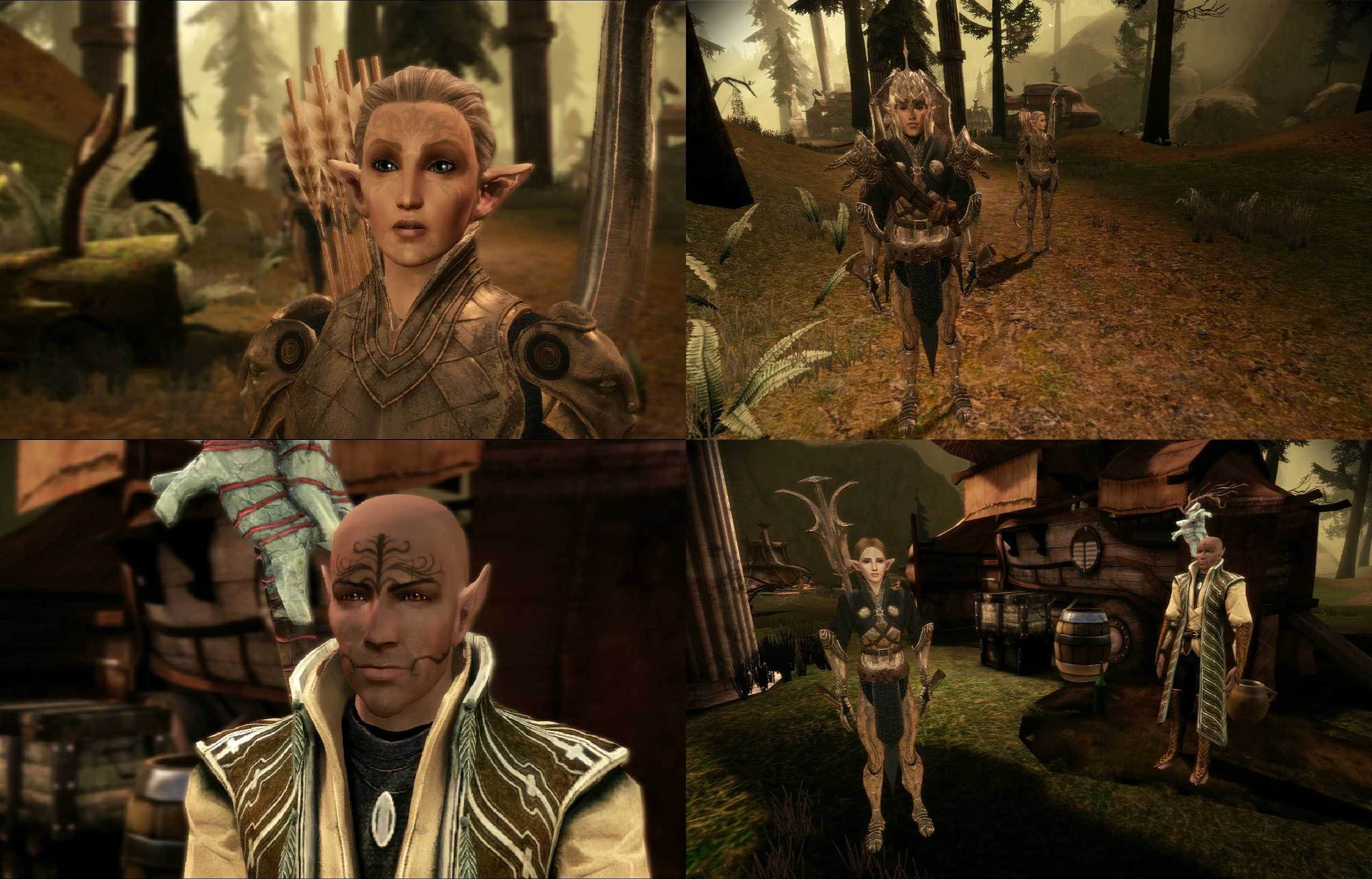 Companions in Denerim, Dalish Camp and Lothering