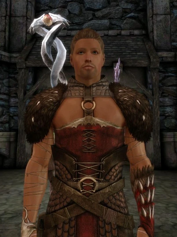 Concept Art Mage Robe at Dragon Age: Origins - mods and community