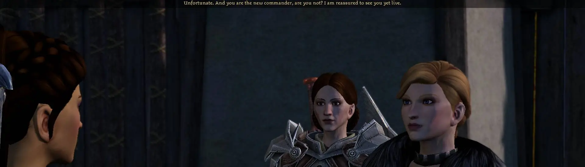 Party banter  Dragon Age Awakening 