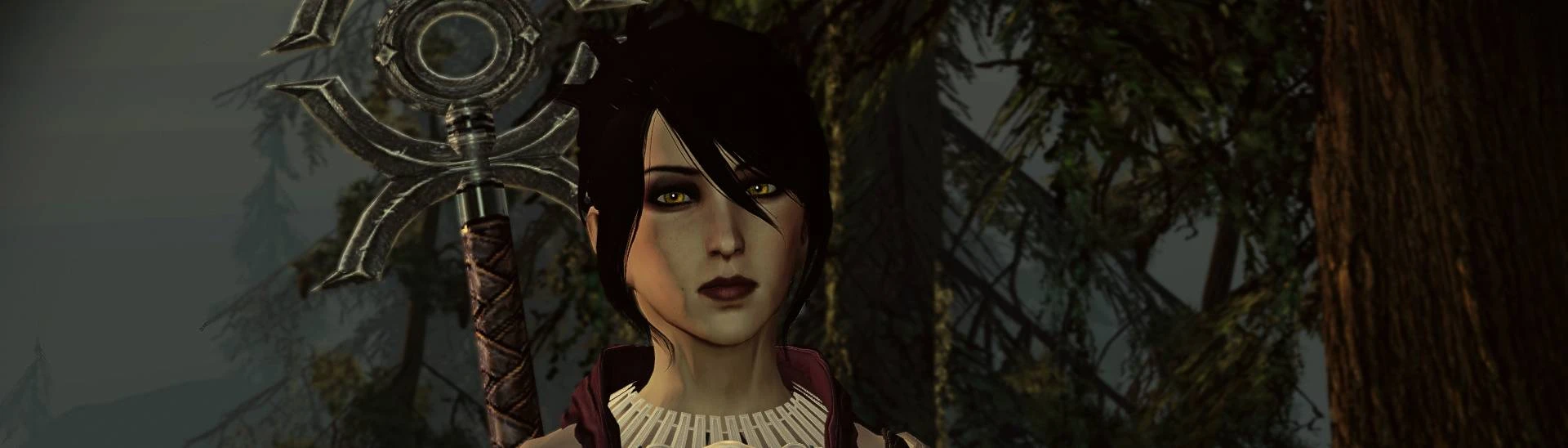 Tchos' Gaming and Modding: Morrigan and Leliana face and armour mods