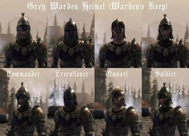 Grey Warden Helmet from Wardens Keep