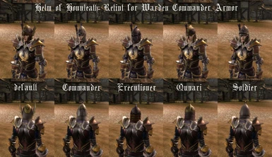 Helm of Honnleath Warden Commander Armor Retint