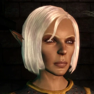 Chargen Package at Dragon Age: Origins - mods and community
