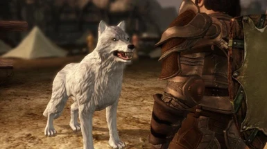 dragon age origins dog mod