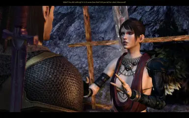 Dragon Age Origins -- First Night at Camp -- Gift Giving and Morrigan 