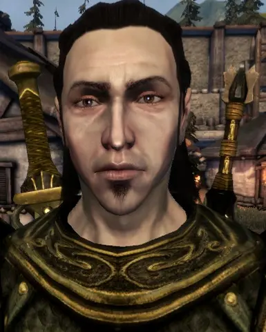 Nathaniel Howe Comic Face Morph at Dragon Age: Origins - mods and community