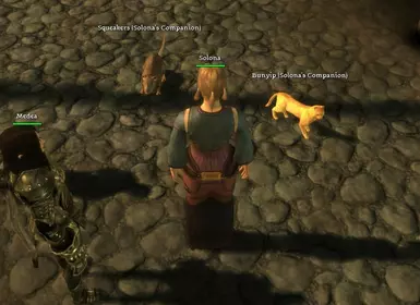 Pets