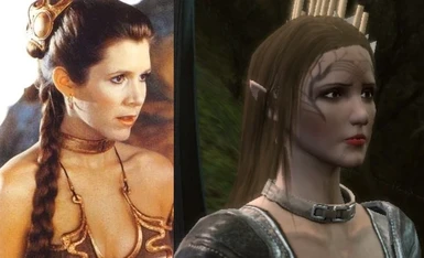 Elven Princess Leia Comparison