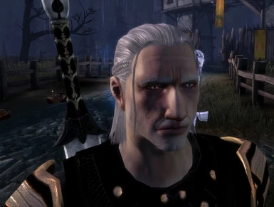 Geralt of Rivia Ingame