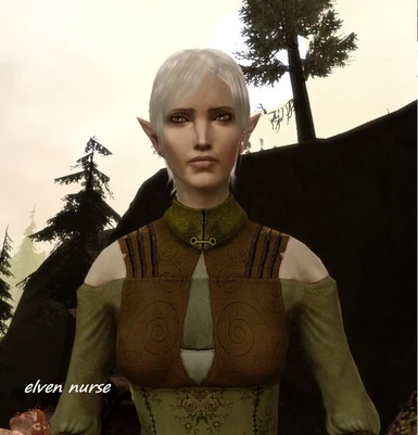 Nature of the Beast - elven nurse