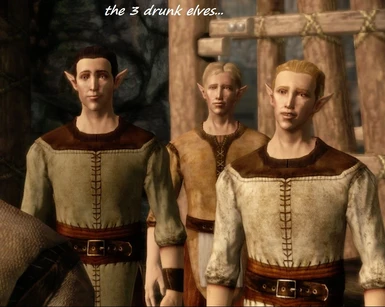 City Elf Origin - the 3 drunk elves
