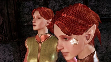 How to Create an Attractive Female Elf in Dragon Age: Origin 