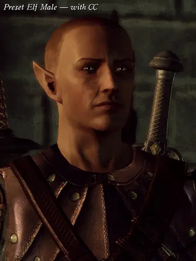 ASKs Elf Male Preset at Dragon Age: Origins - mods and community