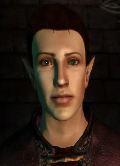 Pretty Male elves headmorphs at Dragon Age: Origins - mods and community