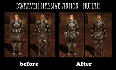 Dwarven Massive Armor_Human
