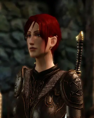 Leliana the survivor at Dragon Age: Origins - mods and community