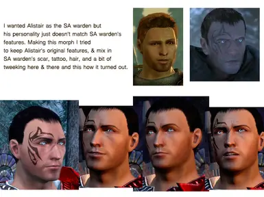 niasawa Companions Headmorph at Dragon Age: Origins - mods and community