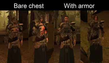 Armor model options