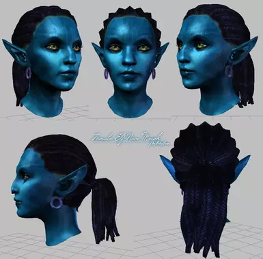Navi preset toolset shots