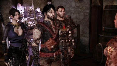 Hawke Witcher Armour