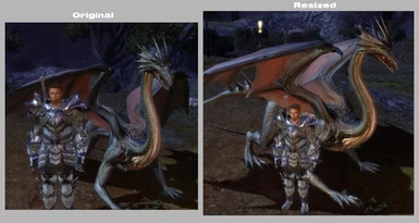 Dragon Comparison