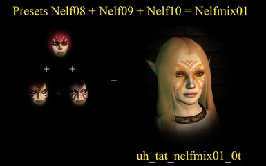 Nelfmix01