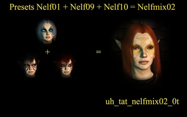 Nelfmix02