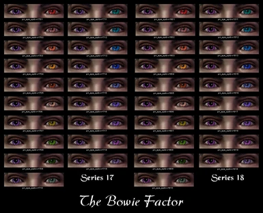 The Bowie Factor 17-18