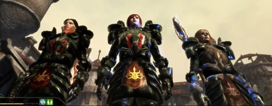 Dragon Age Origins Awakening - Sentinel Armor - PTBR at Skyrim Special  Edition Nexus - Mods and Community